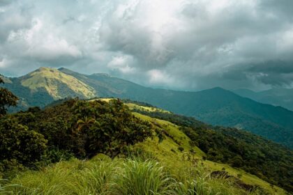 Explore the mesmerising verdure and gushing waters at the Ranipuram Waterfalls in Kerala