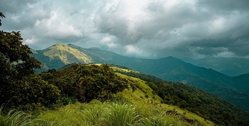 Explore the mesmerising verdure and gushing waters at the Ranipuram Waterfalls in Kerala