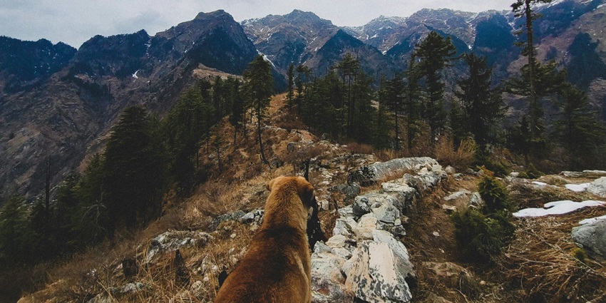 Visit Rasol, one of the best places to visit near Kasol, on your next vacation to hills