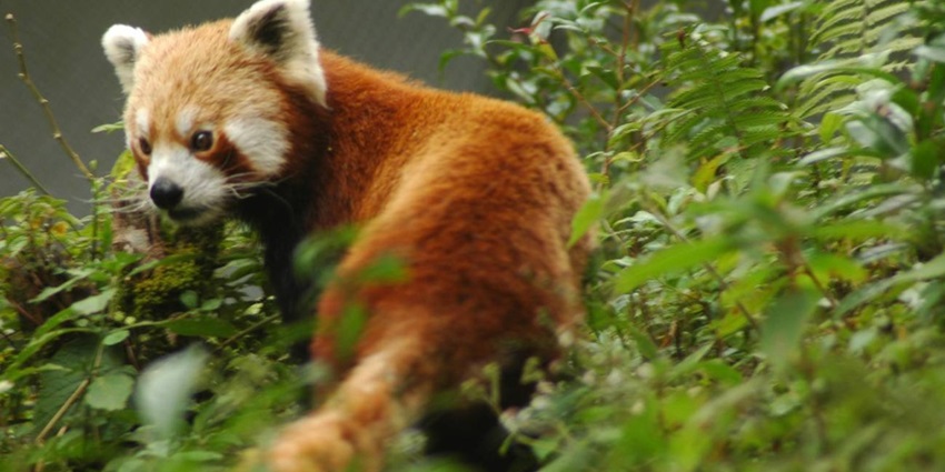 It is good not to disturb the animals in this wildlife sanctuary while visiting the same.