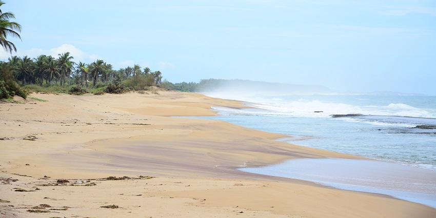Rekawa water body offers you an opportunity to witness turtles laying their eggs.