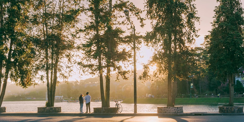Visit this scenic park in Kufri with lush greenery, yak rides, and a peaceful atmosphere, one of the best things to do in Kufri.