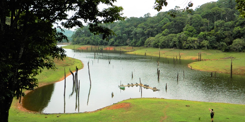 Picturesue view of a lake amidst lush landscapes of a wildlife park, ideal spot for nature lovers