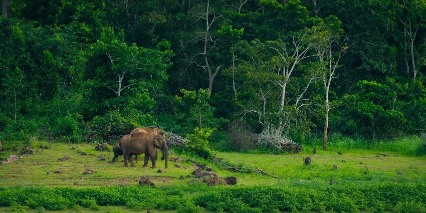 This sanctuary is the ideal haven for wildlife enthusiasts wishing to explore a rich biodiversity