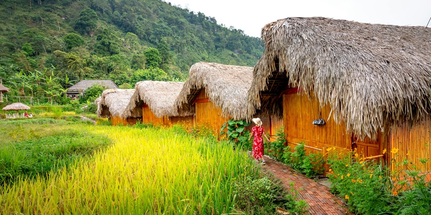 You can enjoy the serene views from the comfortable stays during your trip in Kamlang Wildlife Sanctuary.