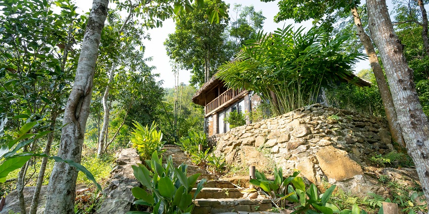 The steps leading to a scenic resort in the dense forest surrounded by giant trees