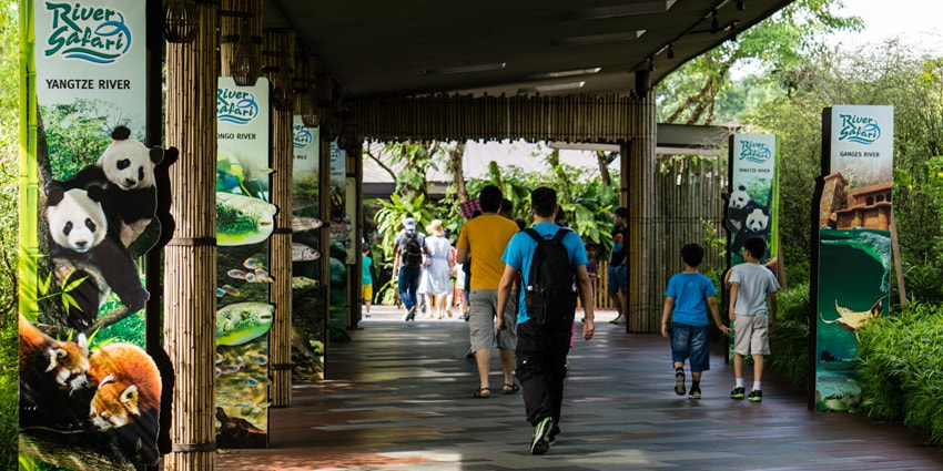 Snapshot of the entrance gate of the Singapore River Safari—Enjoy Jungle Safari Singapore