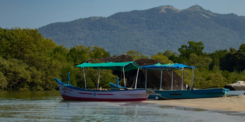 Riverbank with a flowing river, bordered by green vegetation and smooth, sandy shores.
