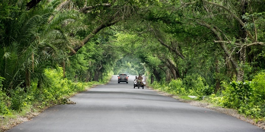 Idyllic view of a asphalt road passing through the hills and lush green forest