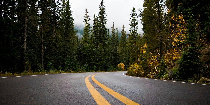 Beautiful road passing through amidst the hills and idyllic lush trees around the forest