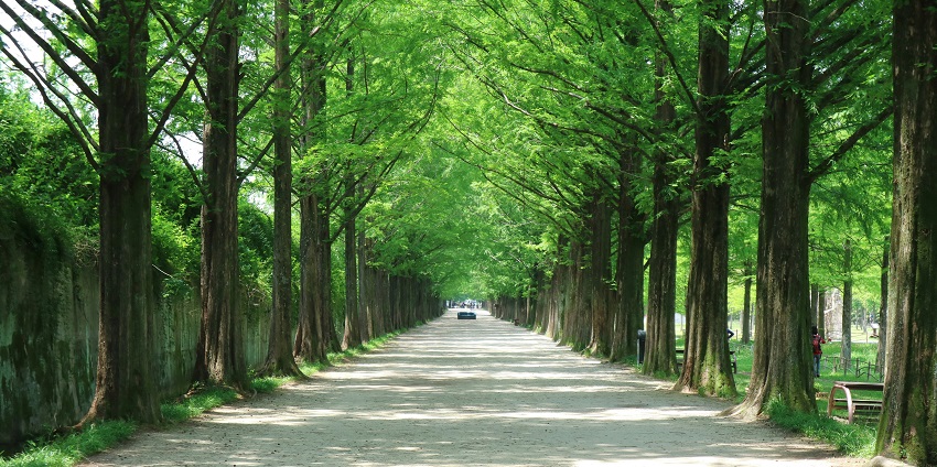 Being a prime tourist destination, reaching the national park is quite easy and accessible.