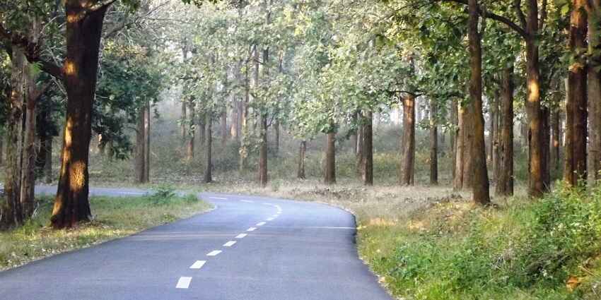 Trail through the serene forests of Tholpetty wildlife sanctuary to have your ideal getaway