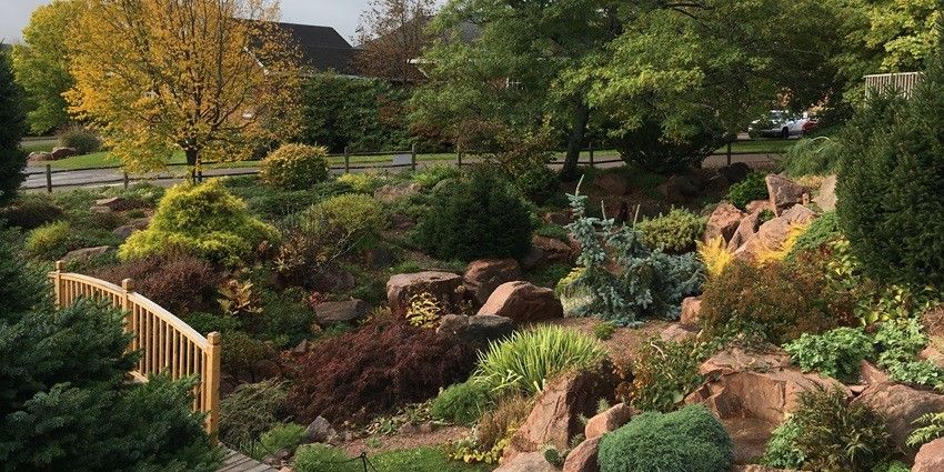 A quiet garden to visit in Dalhousie
