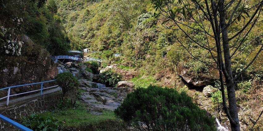 Enjoy the lush green scenery while taking a stroll in the Rock Garden and Ganga Maya Park.