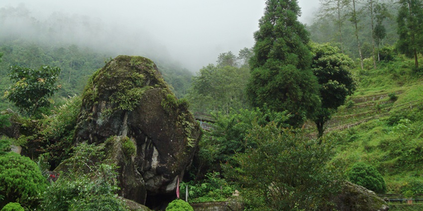 Rock Garden is one of the best places to visit near Bengal Natural History Museum.