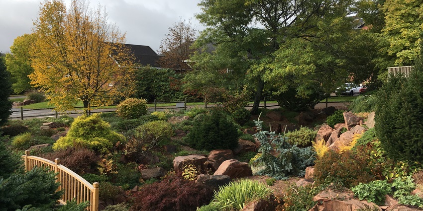 This garden offers many vibrant scenic views of blooming flowers during the monsoon season