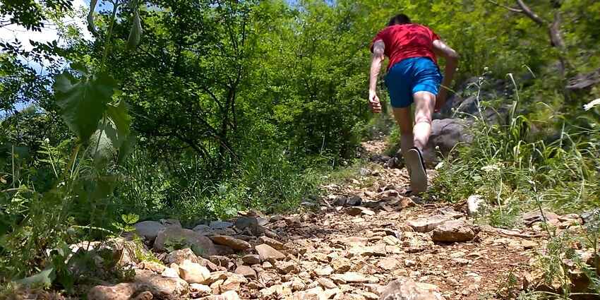 This wildlife sanctuary offers daily guided trekking opportunities for tourists