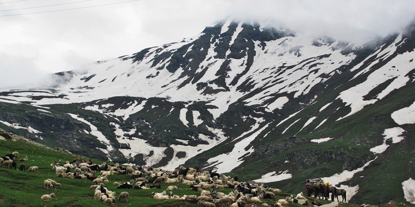Rohtang Pass is among the most beautiful places to visit among things to do in Manali.