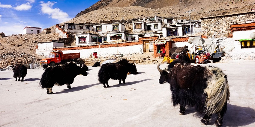 A lesser-known but significant monastery, Rongbuk Monastery is located in a remote area.