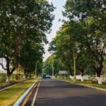 A breathtaking view of a road surrounded by lush green trees in Rourkela during the day.