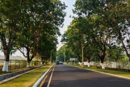 A breathtaking view of a road surrounded by lush green trees in Rourkela during the day.