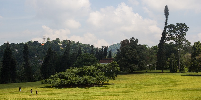 The Royal Botanic Gardens is famous for its collection of exotic plants and trees.