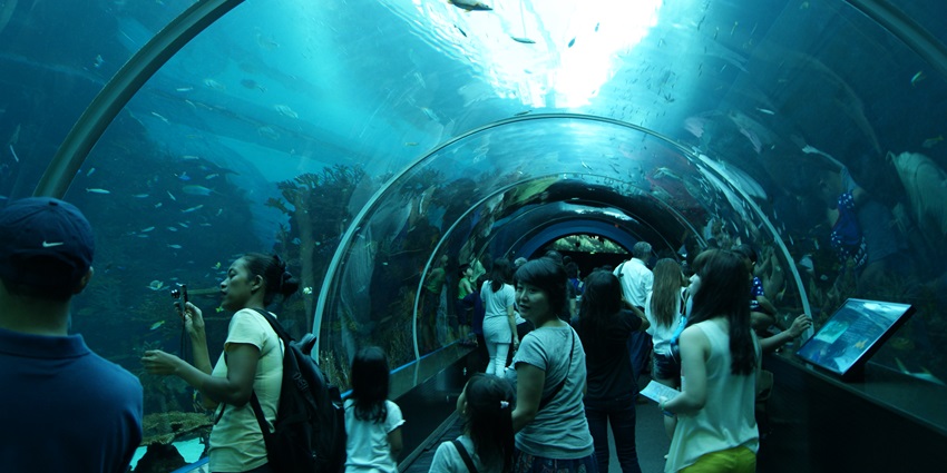 S.E.A. Aquarium, housing marine creatures, is one of the world's largest aquariums.