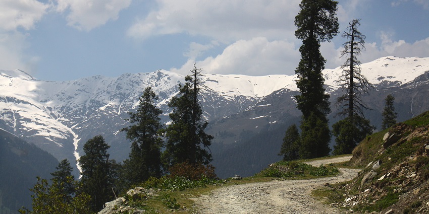 Winding road through Kalaban forest, on the way to the Saach pass view