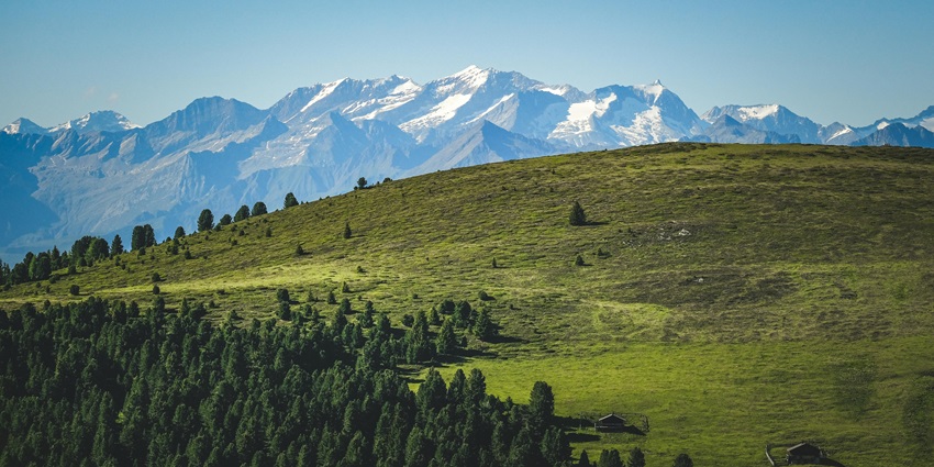 Picturesque view of vast verdant meadows with majestic snow covered mountains far beyond