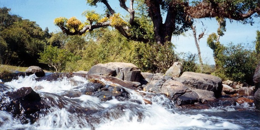 River Papanasini, flowing gently through a serene landscape with spiritual significance.