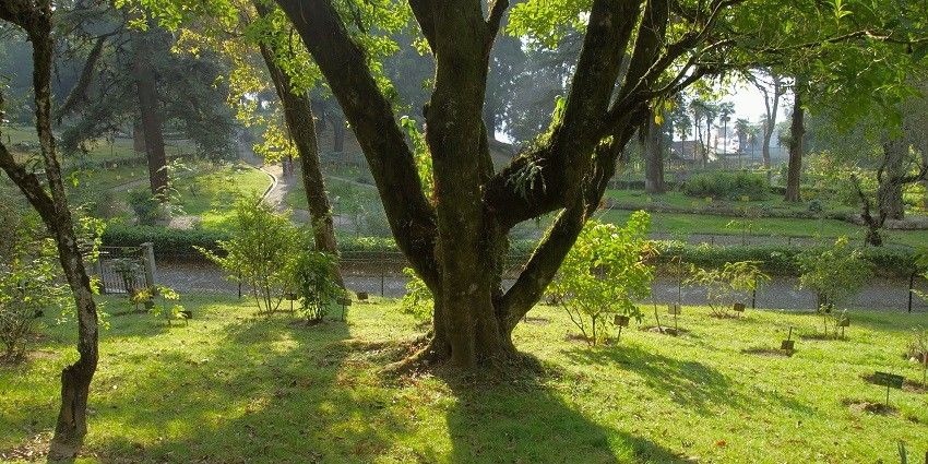 This forest testifies to indigenous Khasi beliefs and traditions, providing a deep cultural experience.