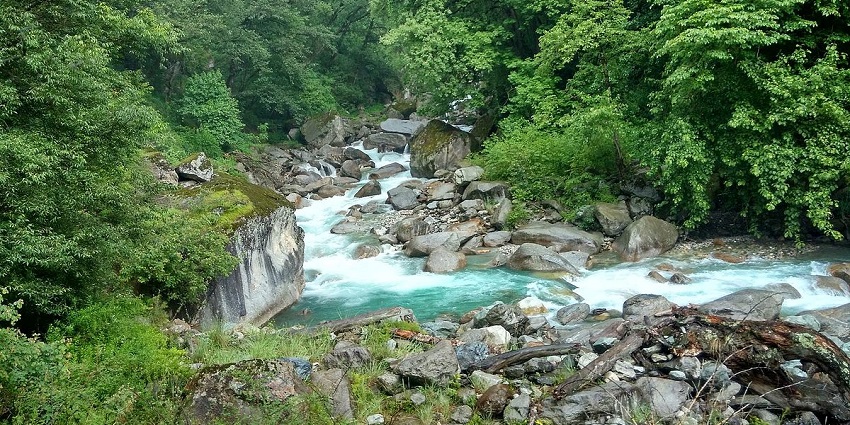 Enchanting view of crystal clear water streaming through the rocks amidst lush vegetation