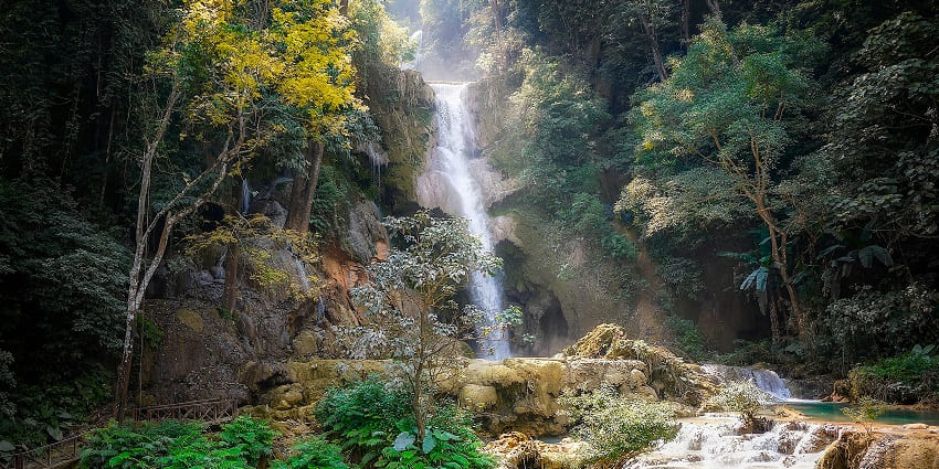 Serene waterfall cascades through lush green trees, creating a peaceful natural scene.