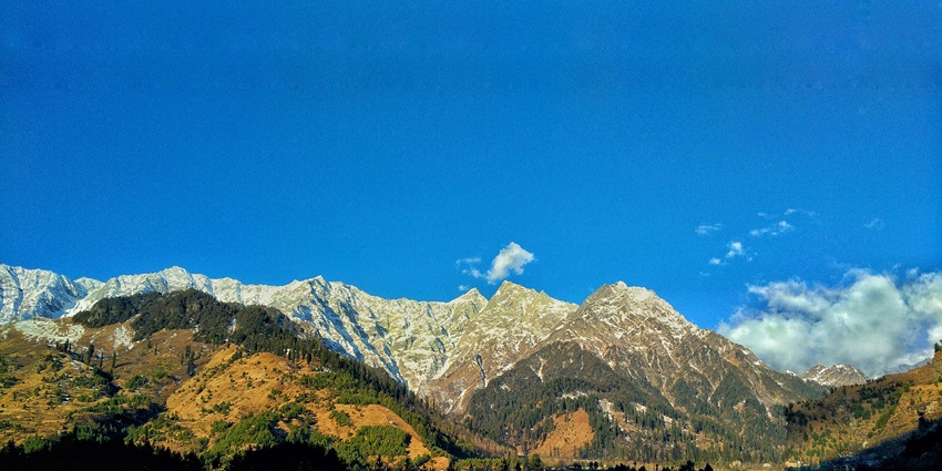 Dive into the serene surroundings of Salogra, one of the places to visit near Kasauli
