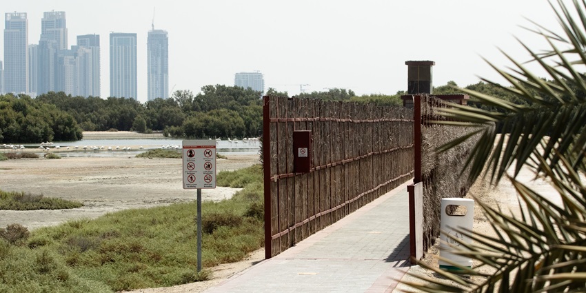 Exploring Ras Al Khor wildlife Sanctuary is one of the best things to do in Dubai for all.