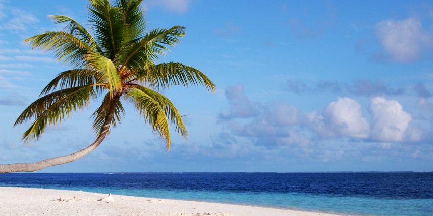 There are several sandbanks and picnic spots near Alimatha offering unique experiences.