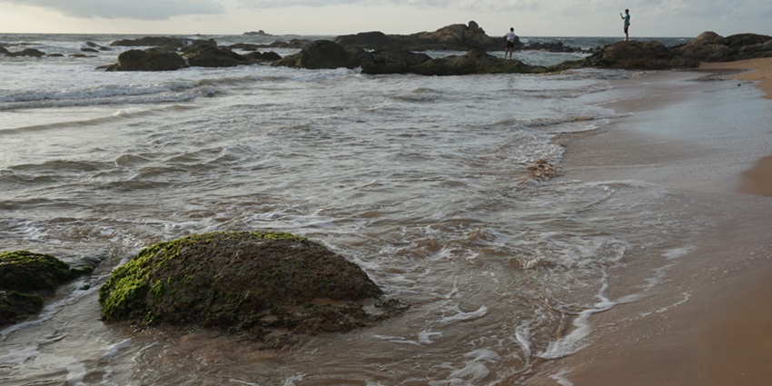 Golden sands of Bentota Beach, are ideal for relaxation and water sports. Things to do in Bentota.