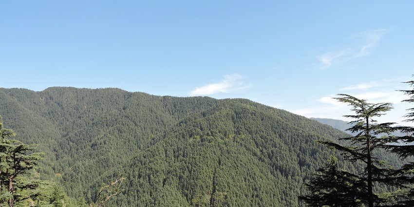 An aerial view of Sanjauli Forest, decked with lush green dense forests and scenic peaks.