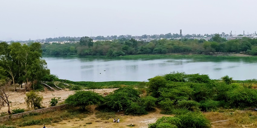 Beautiful sanjay lake surrounded by the green lush trees and the city of Mayur vihar