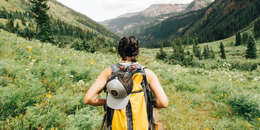 Person carrying a yellow and black backpack, walking through green plants.