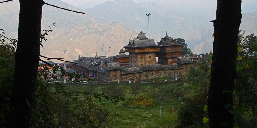 Sarahan renders beautiful views of a variety of birds which appeals to the tourists on any day.