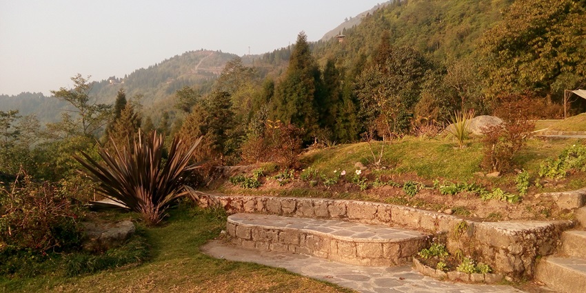 Lush pathways of the Saramsa Garden, one of the beautiful places to visit near Ranka Monastery.