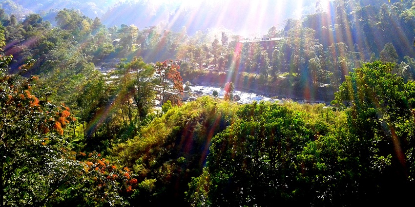 A picture of the lush greenery at Saramsa Garden during sunrise with a scattering of rays
