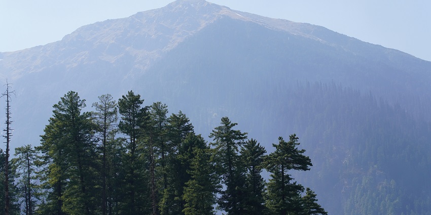 Enjoy the mesmerising views of mountains and lush green trees at the Sarhan, Kinnaur.