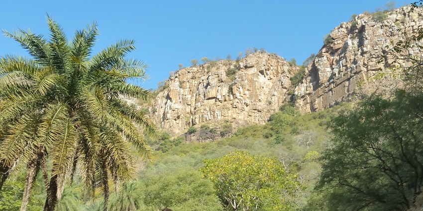 A picture taken at Sariska National Park showing rocky hills and pine trees