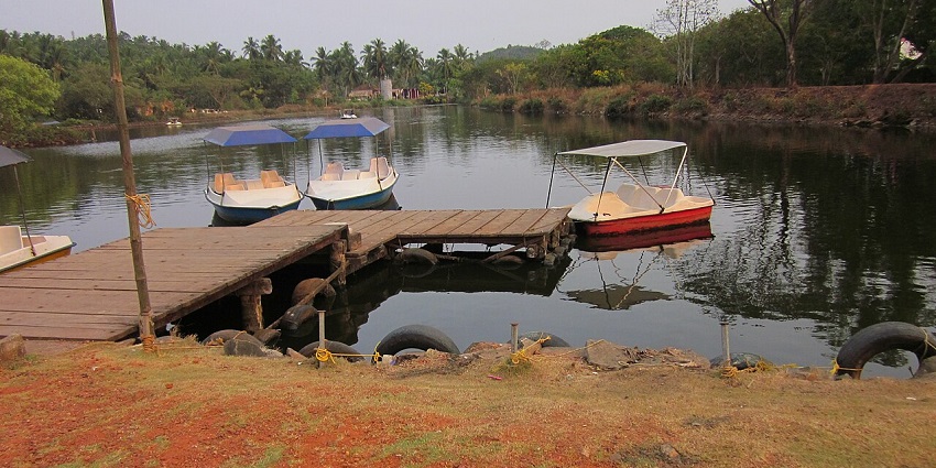 Snapshot of Sarovaram bio park–Perfect spot for the new year party in Calicut, Kerala