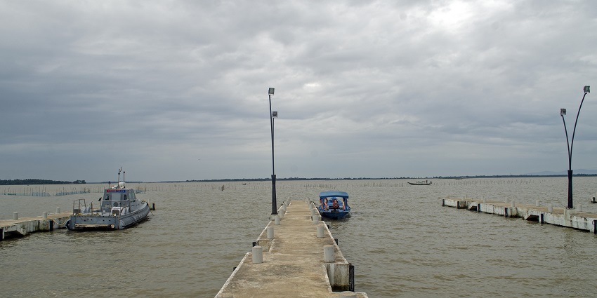 Satapada has Irrawaddy dolphins, elusive creatures often seen in the waters.
