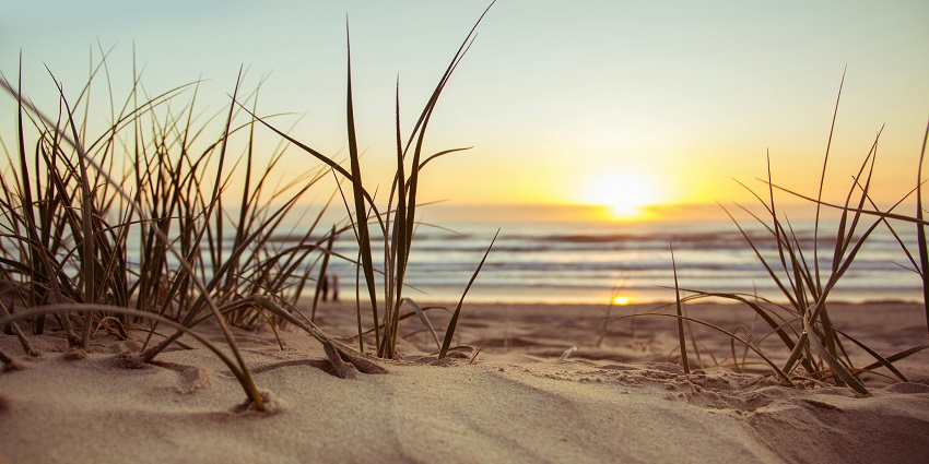 A breathtaking view of a water body with golden and white sand near it during the day.