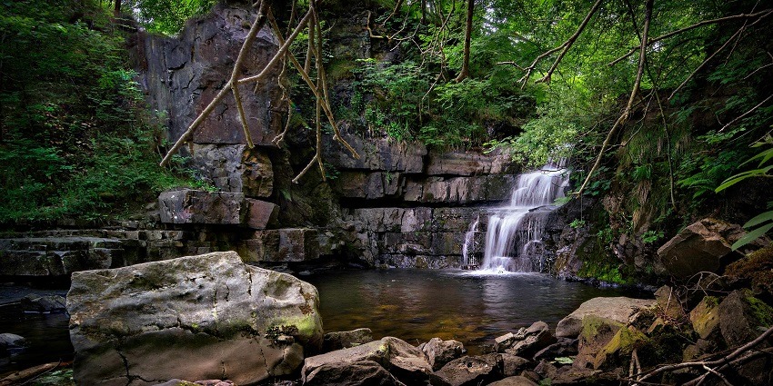 A serene view at Areekkal Waterfalls