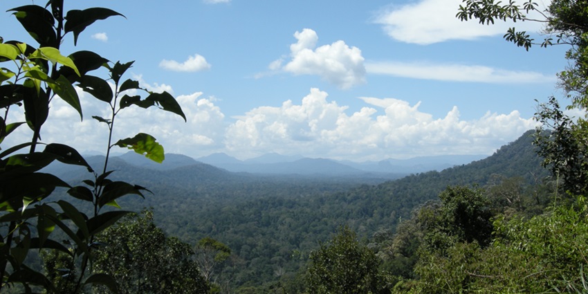 The lush landscapes are perfect for nature lovers to wander and immerse into nature's serene embrace